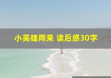 小英雄雨来 读后感30字